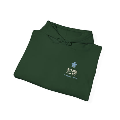 Memory of the Sky Kanji Hoodie | Inspired by Frieren and Himmel from Frieren