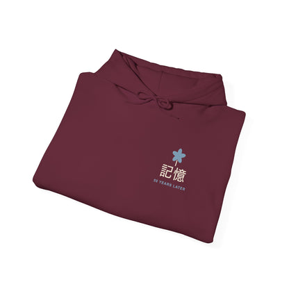 Memory of the Sky Kanji Hoodie | Inspired by Frieren and Himmel from Frieren