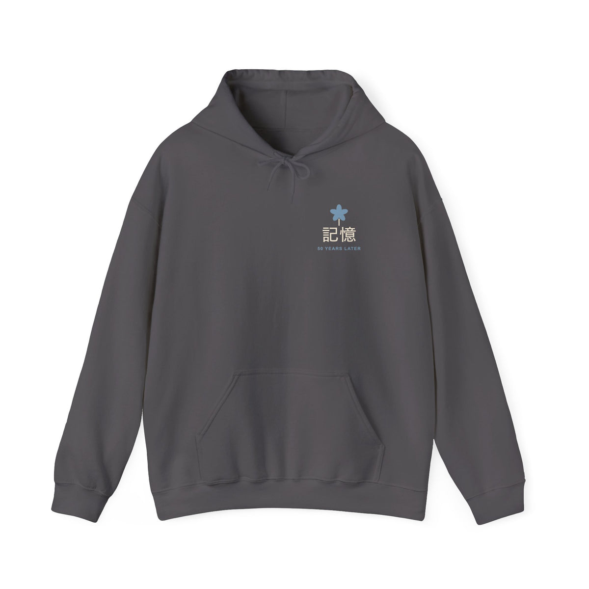 Memory of the Sky Kanji Hoodie | Inspired by Frieren and Himmel from Frieren
