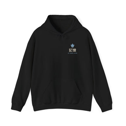 Memory of the Sky Kanji Hoodie | Inspired by Frieren and Himmel from Frieren