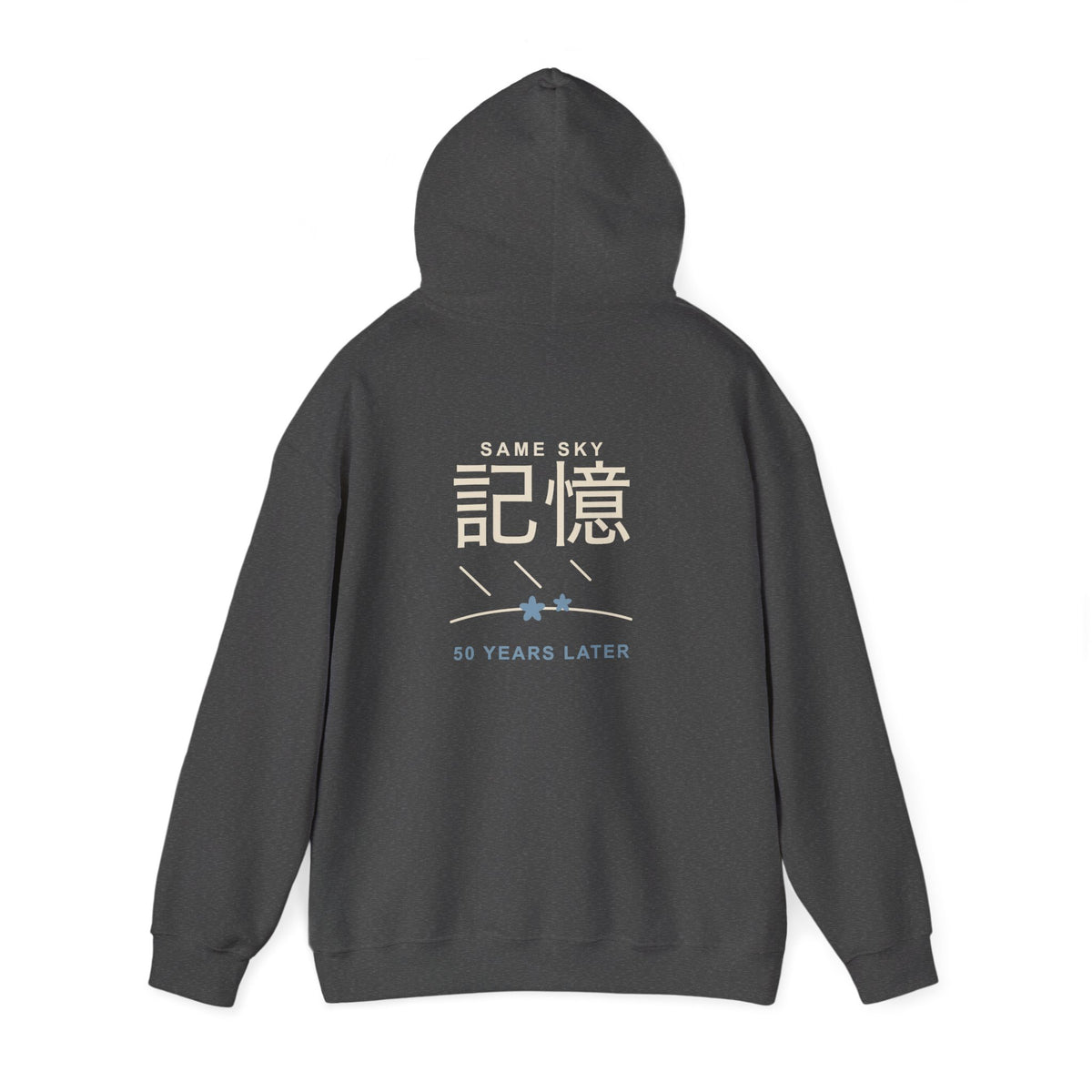 Memory of the Sky Kanji Hoodie | Inspired by Frieren and Himmel from Frieren