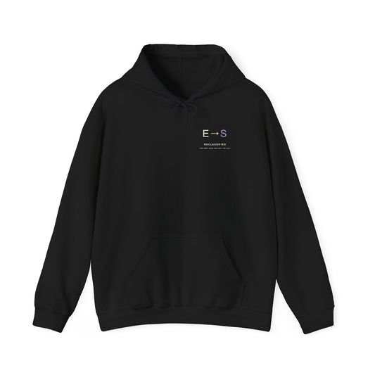 Reclassified Minimalist Anime Hoodie | Shadow Rank Gym Japanese Streetwear