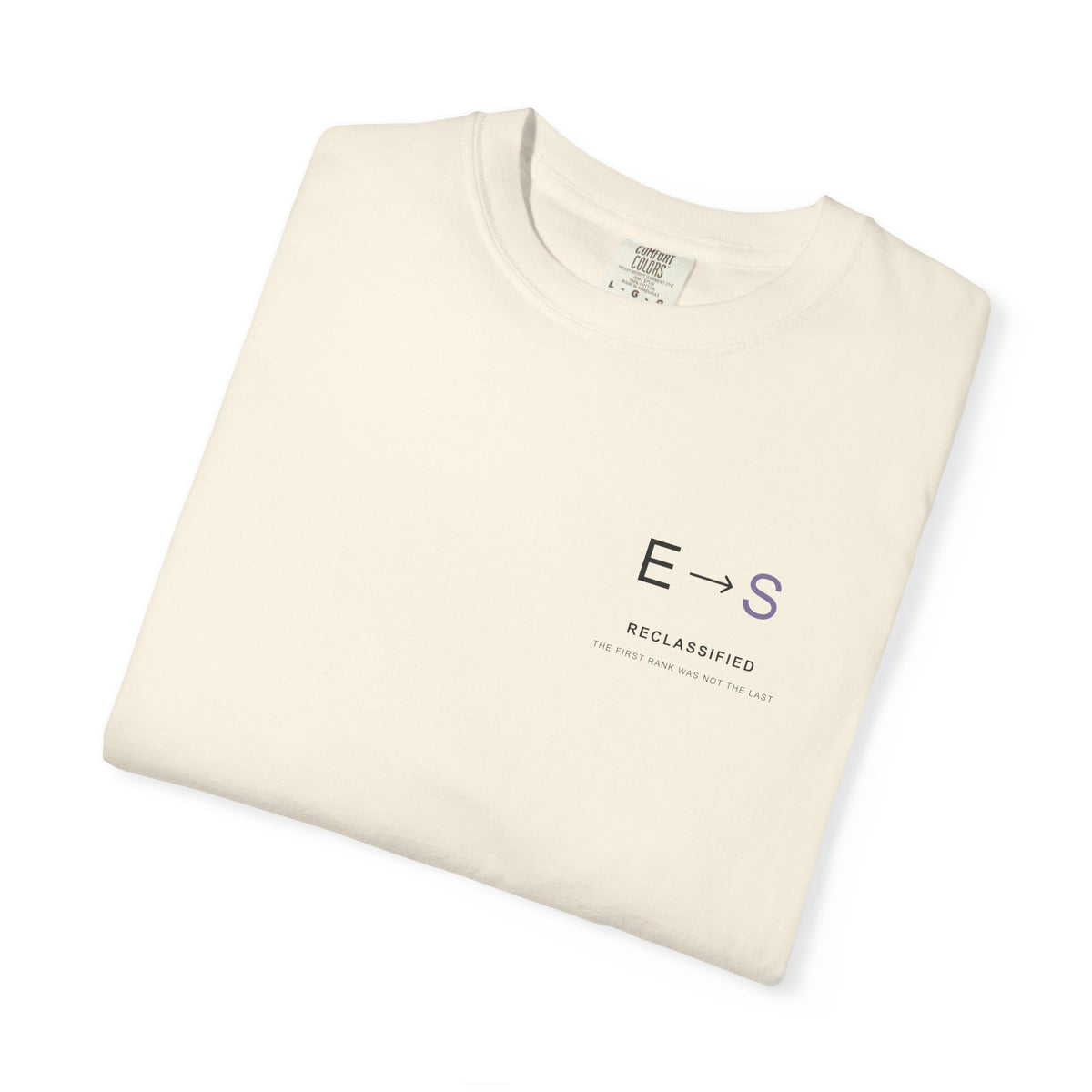 Reclassified Minimalist Anime Tee | Shadow Rank Gym Japanese Streetwear