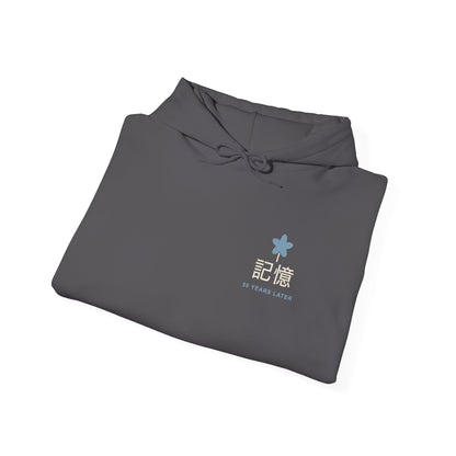 Memory of the Sky Kanji Hoodie | Inspired by Frieren and Himmel from Frieren