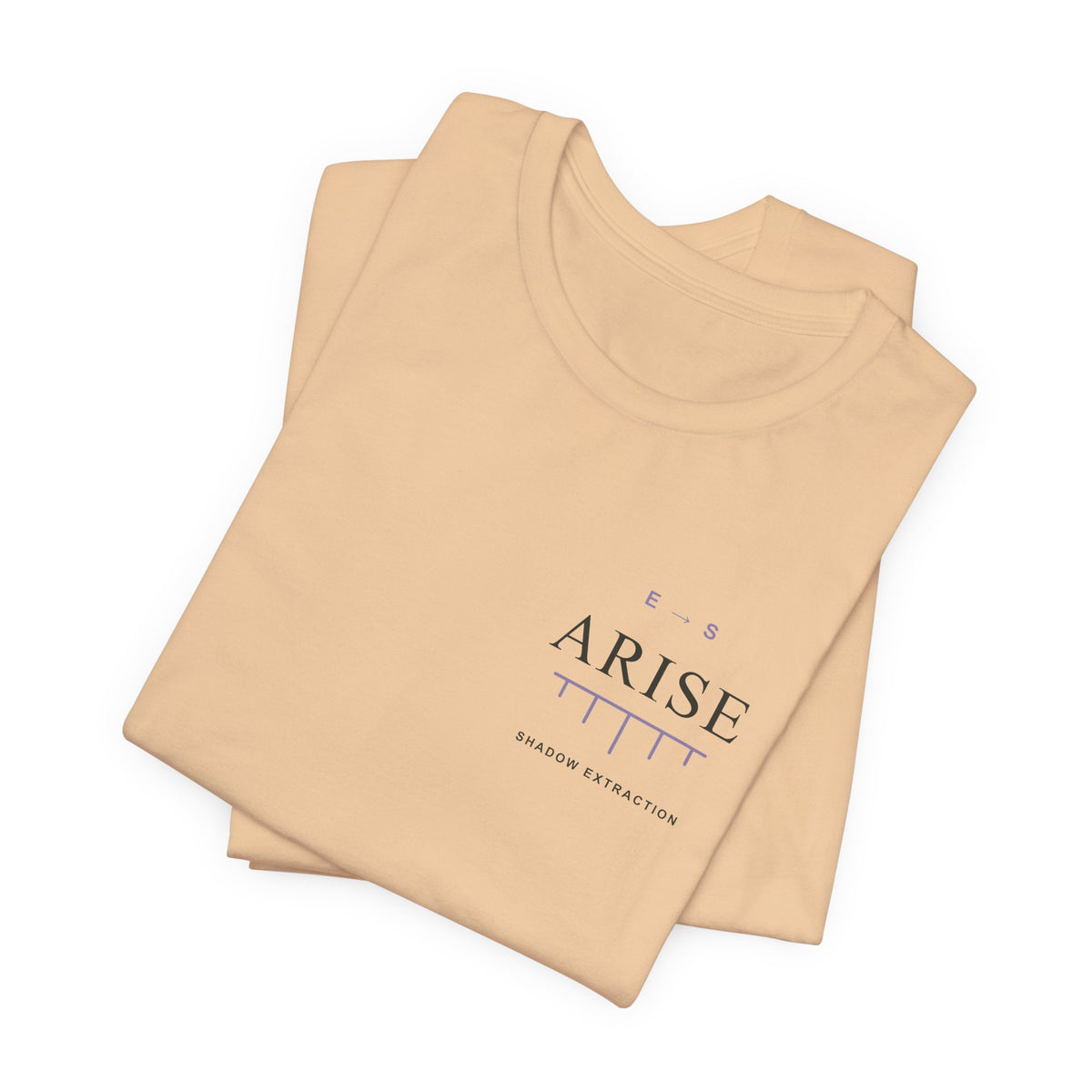 Arise Rank Anime Quote Soft Tee | Shadow Rank Gym Japanese Streetwear