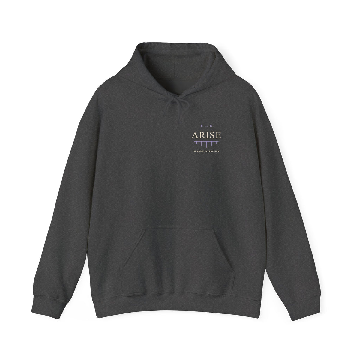 Arise Rank Anime Quote Hoodie | Shadow Rank Gym Japanese Streetwear