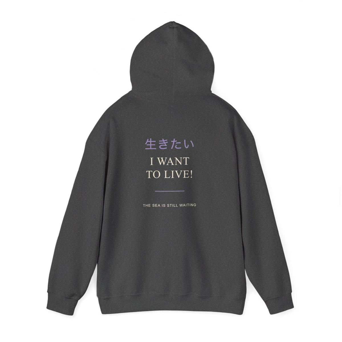 Live Again Kanji Anime Hoodie | Pirate Japanese Streetwear