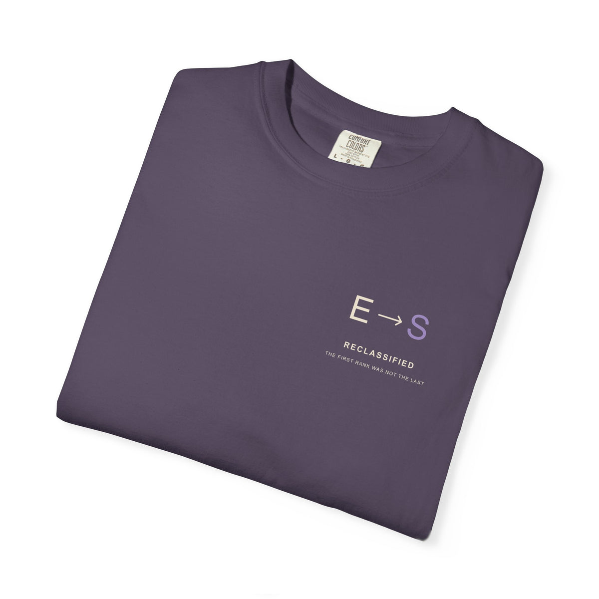 Reclassified Minimalist Anime Tee | Shadow Rank Gym Japanese Streetwear