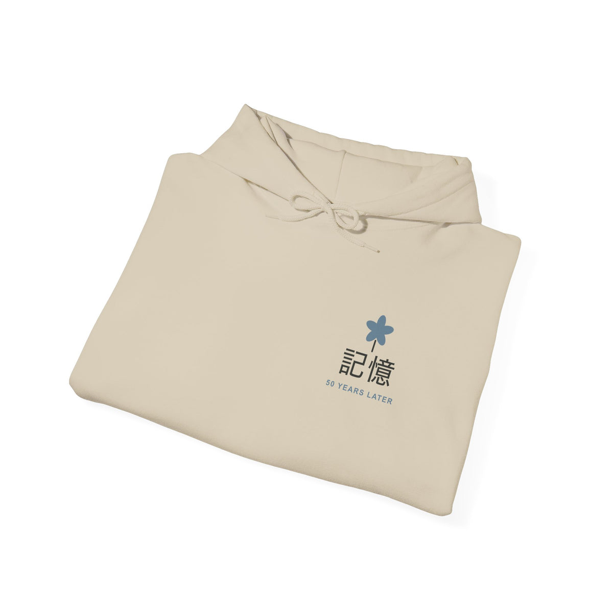 Memory of the Sky Kanji Hoodie | Inspired by Frieren and Himmel from Frieren