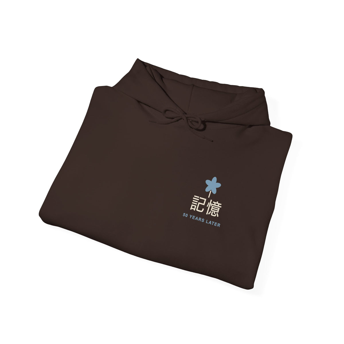 Memory of the Sky Kanji Hoodie | Inspired by Frieren and Himmel from Frieren