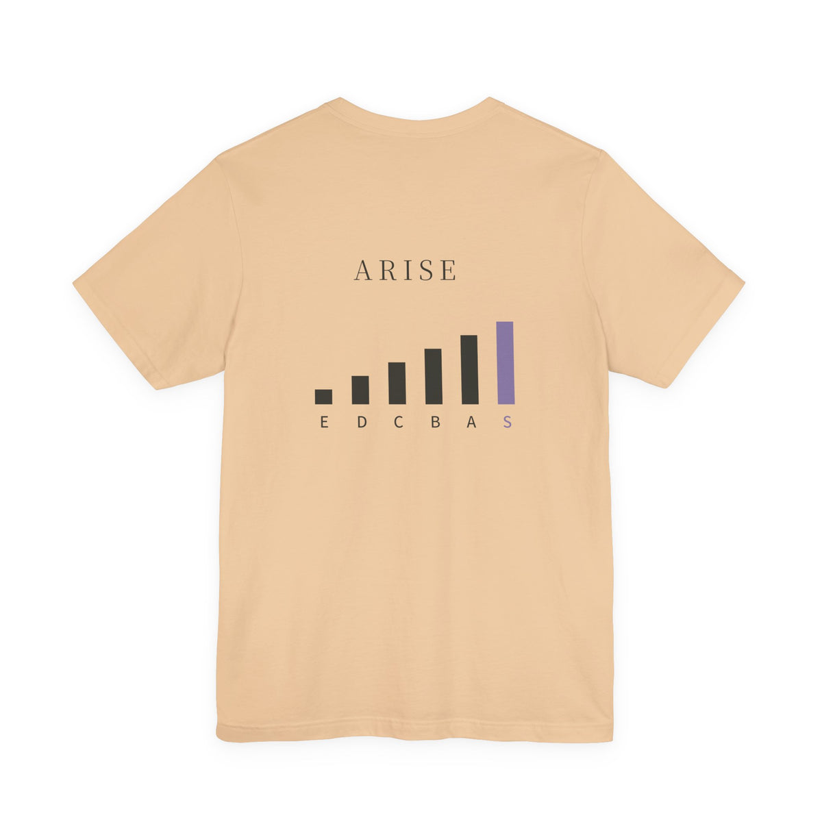 Rank Ascension Kanji Anime Soft Tee | Shadow Rank Gym Japanese Streetwear