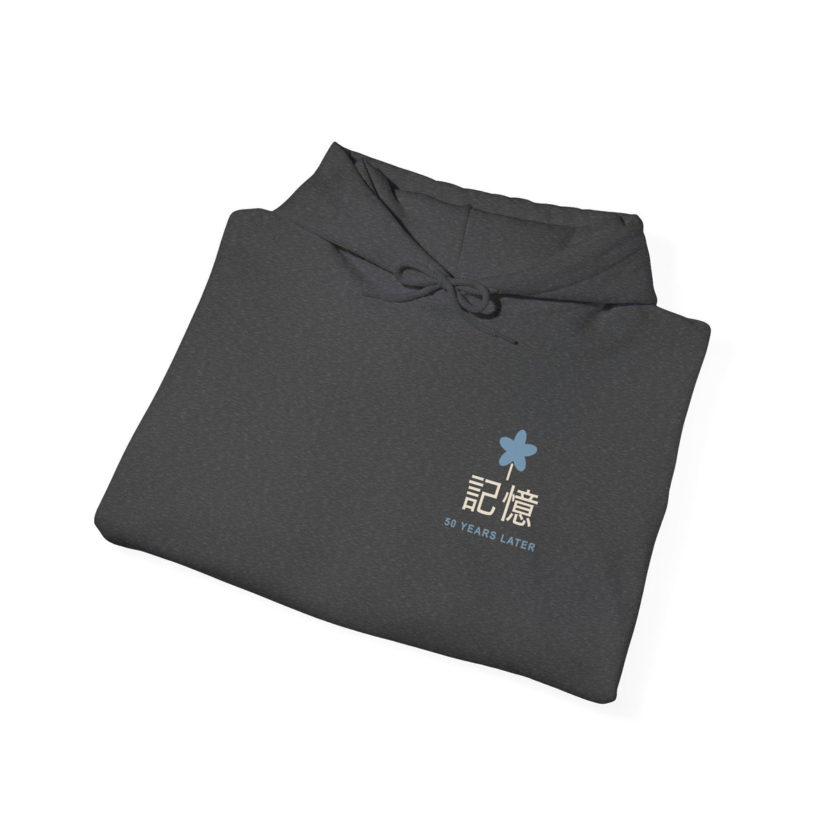 Memory of the Sky Kanji Hoodie | Inspired by Frieren and Himmel from Frieren