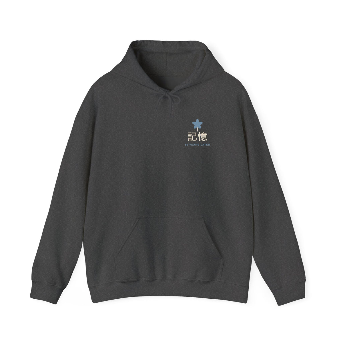 Memory of the Sky Kanji Hoodie | Inspired by Frieren and Himmel from Frieren