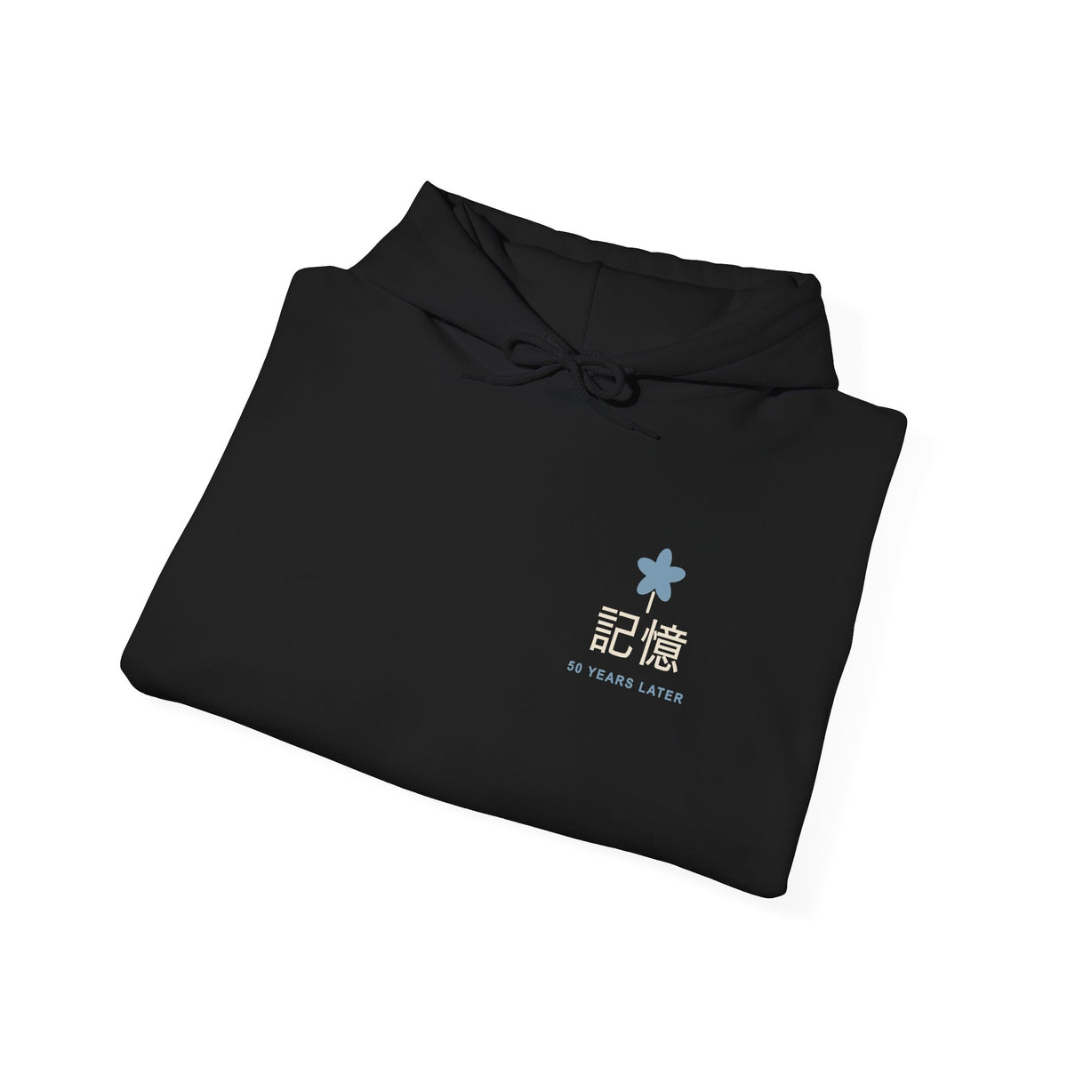 Memory of the Sky Kanji Hoodie | Inspired by Frieren and Himmel from Frieren
