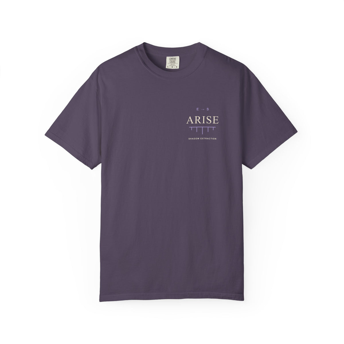 Arise Rank Anime Quote Tee | Shadow Rank Gym Japanese Streetwear