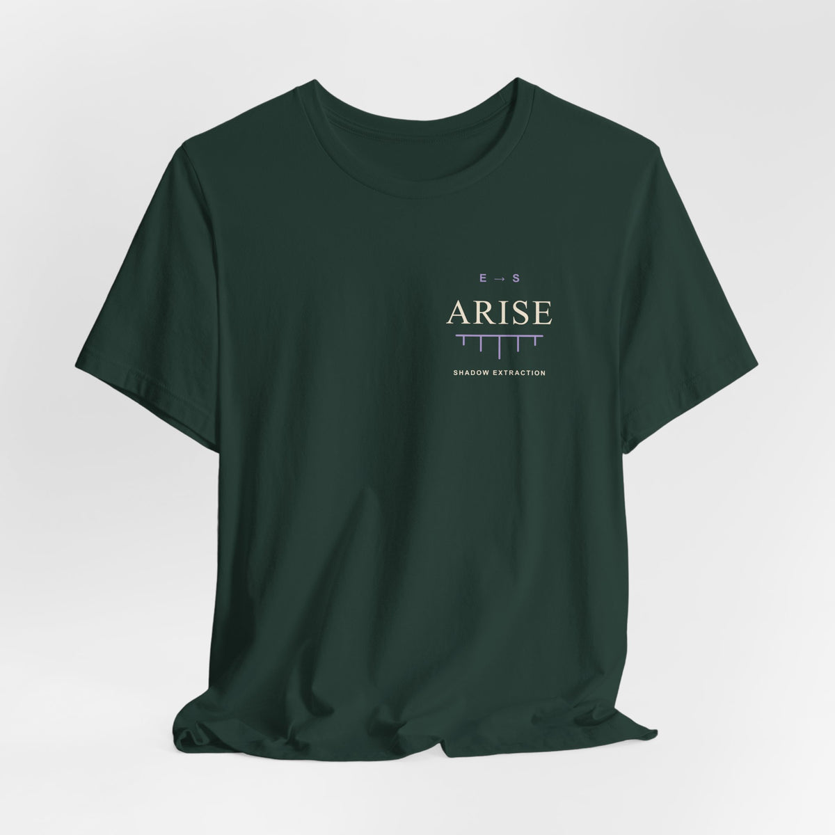 Arise Rank Anime Quote Soft Tee | Shadow Rank Gym Japanese Streetwear
